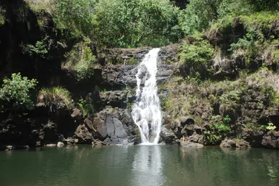 2007_05_30_HAWAII (88) (Large).JPG